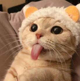 逆水寒手游怎么双人预约